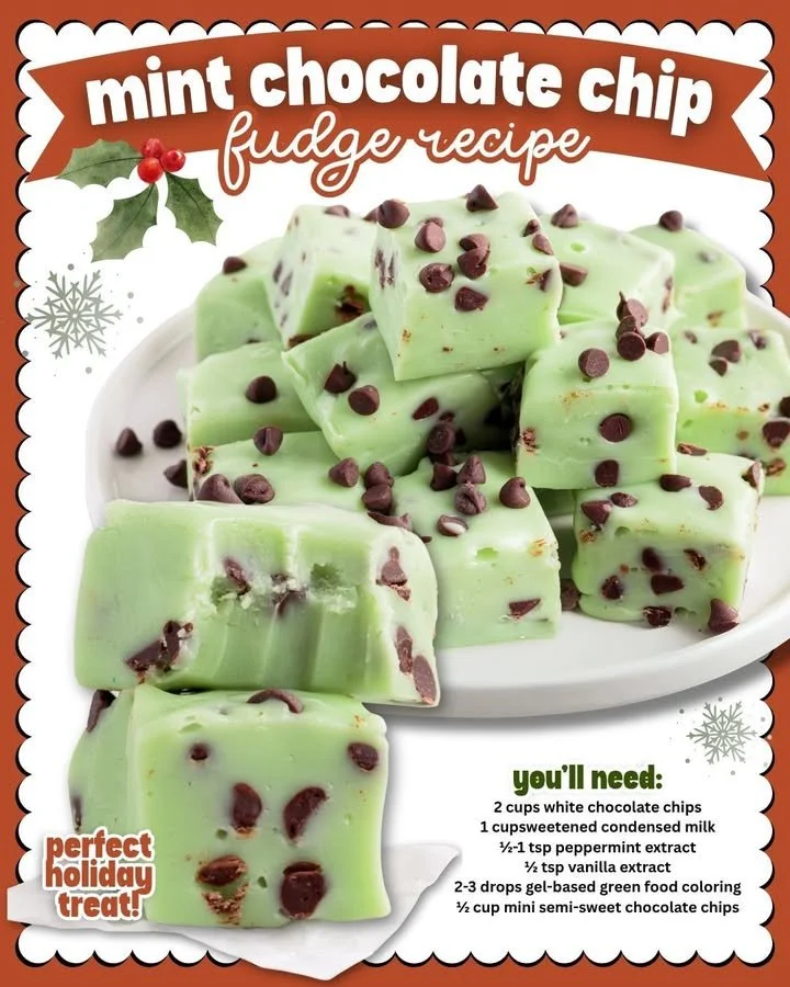 Mint Chocolate Chip Fudge Delicious homemade mint chocolate chip fudge with chocolate chips and mint flavor