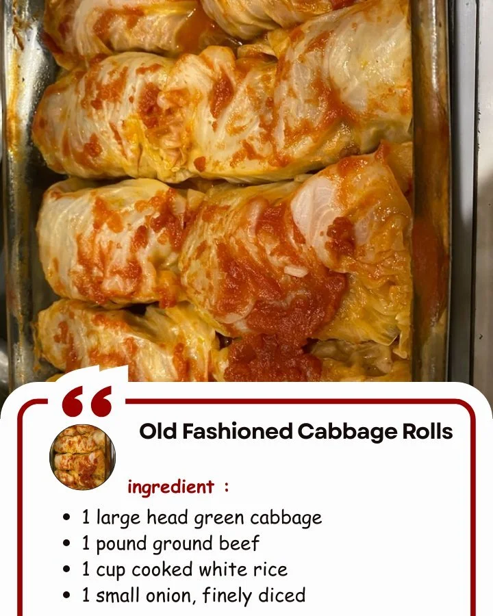 Plate of old fashioned cabbage rolls with sauce and herbs