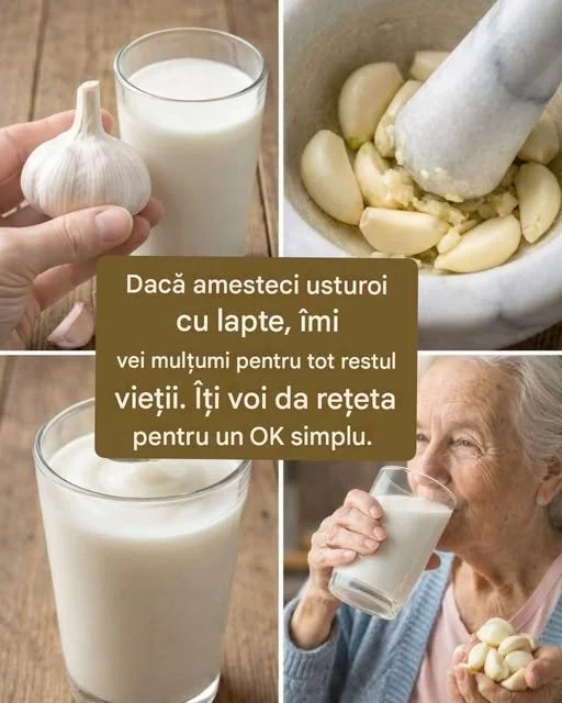 Usturoi cu lapte - rețete sănătoase și beneficii pentru organism