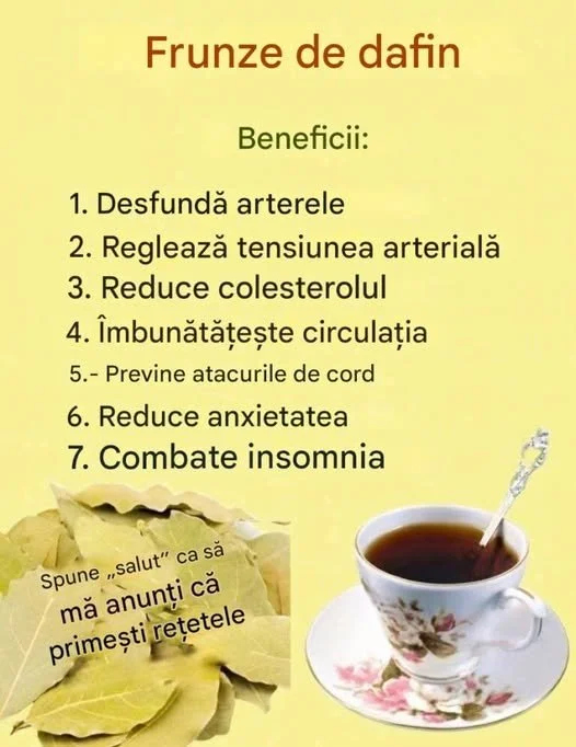 Frunza de dafin utilizată în rețete culinare