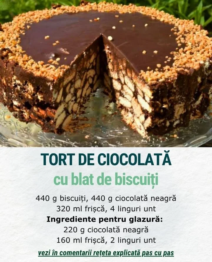 Chocolate Cake with Biscuit Base