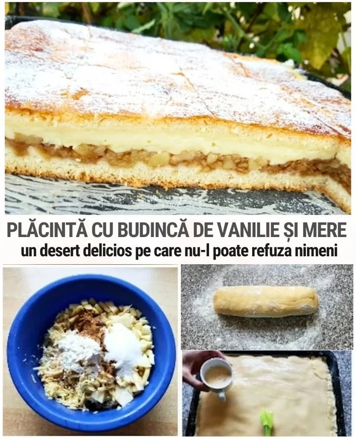 Plăcintă cu budincă de vanilie și mere