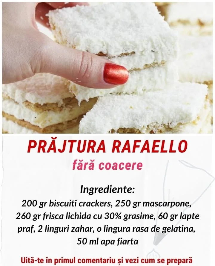 Raffaello Cake No Bake, un desert fără coacere cu nucă de cocos și ciocolată.