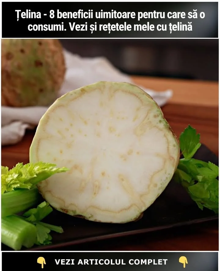 Imagine reprezentativă pentru Țelina, o destinație turistică fascinantă.