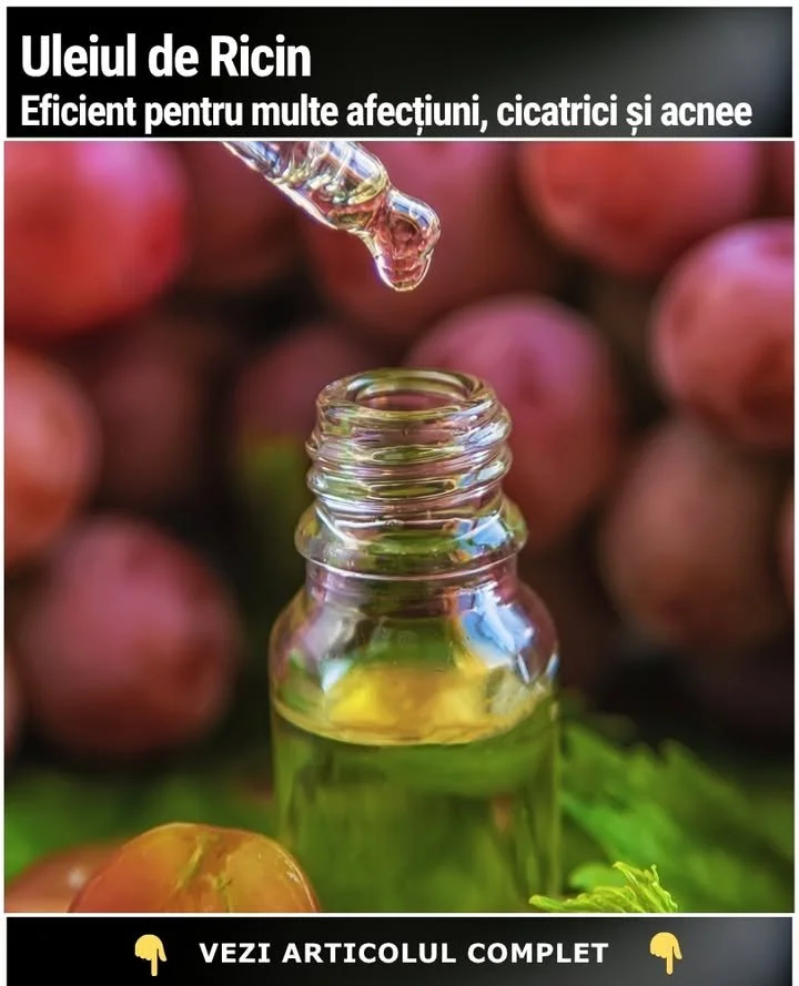 Uleiul de Ricin ➺ Eficient pentru Artrită, Hemoroizi, Cicatrici și Acnee Beneficiile uleiului de ricin pentru artrită, hemoroizi, cicatrici și acnee