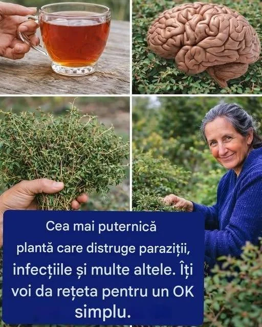 Imagine reprezentând conceptul de OK simplu în comunicare