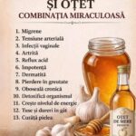Beneficiile usturoiului, mierii și oțetului de mere: Ghid complet de preparare și utilizare cf-featured-33