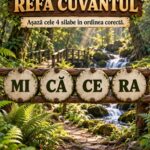 Rețetă delicioasă pentru prânz: cum să prepari un fel principal savuros cf-featured-52